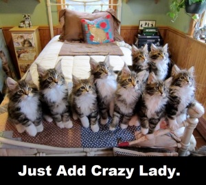 just-add-crazy-lady